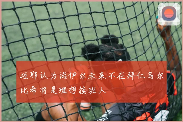 迈耶认为诺伊尔未来不在拜仁乌尔比希将是理想接班人