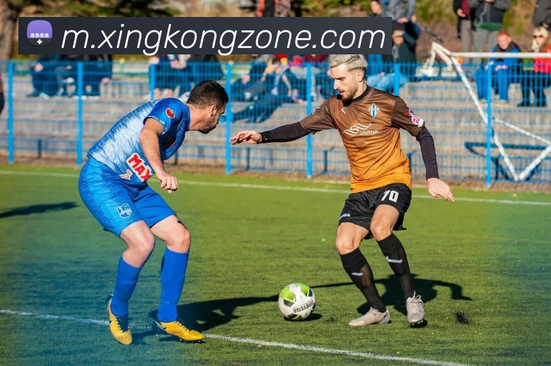 星空体育服务体系